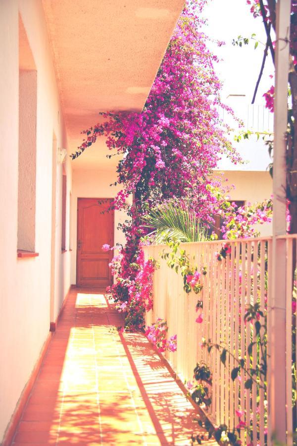 El Penell Apartament Llevant Vilamaniscle Extérieur photo