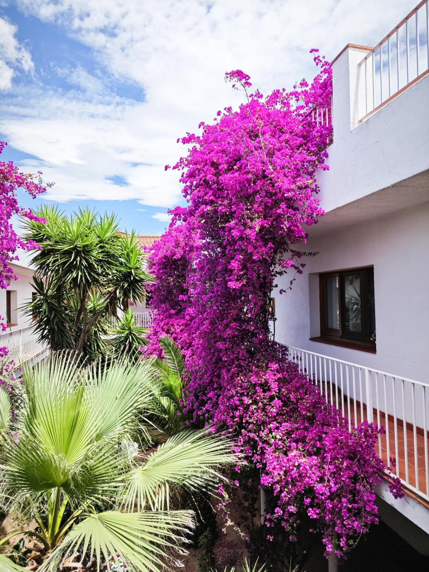 El Penell Apartament Llevant Vilamaniscle Extérieur photo